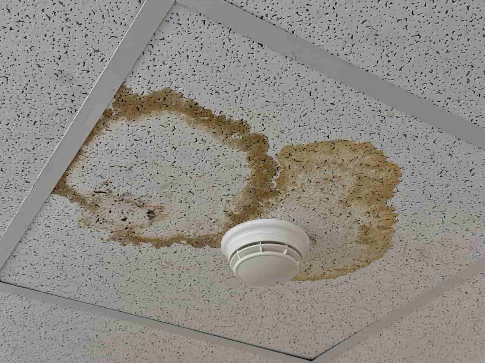Water-stained suspended ceiling tiles in a Raleigh office to be replaced