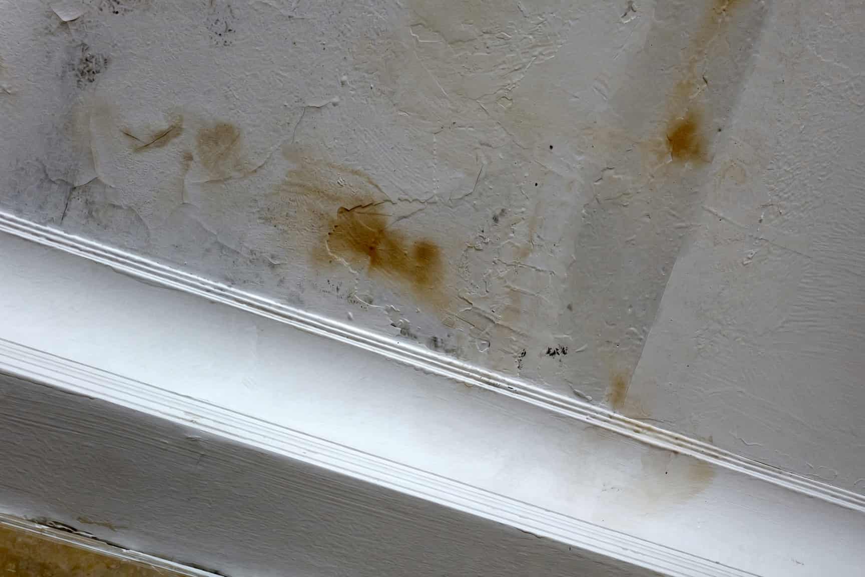 Brown water stain ring on a bedroom ceiling in a Raleigh home before repair
